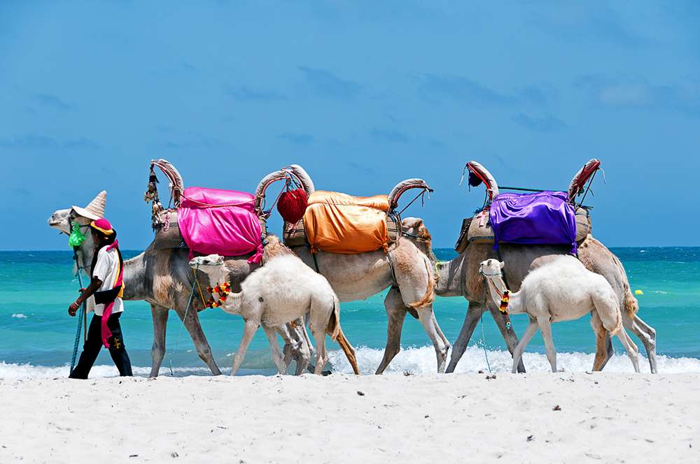 Spiaggia di Sidi Mehrez